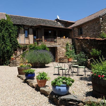 Chambres d'Hôtes Le Puits d'Amour Mirandol-Bourgnounac Exterior foto